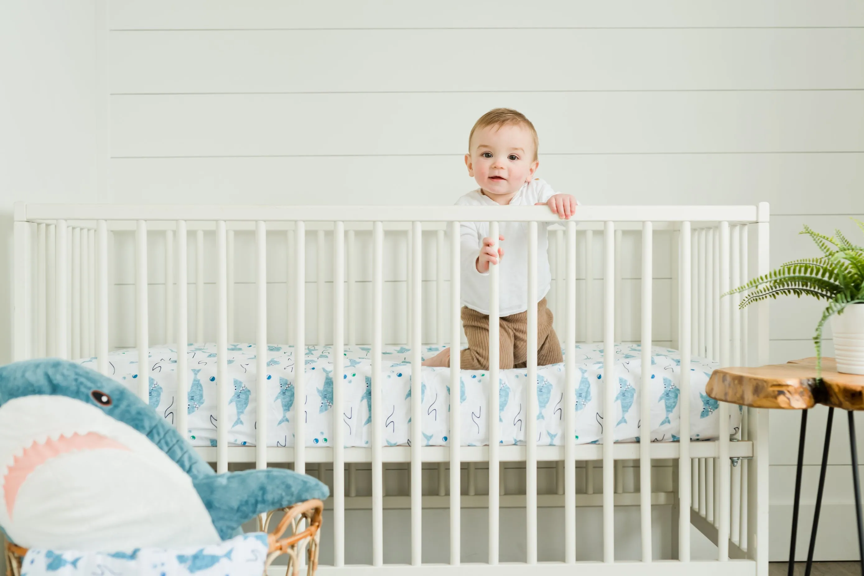 100% Cotton Fitted Crib Sheet - Sharks