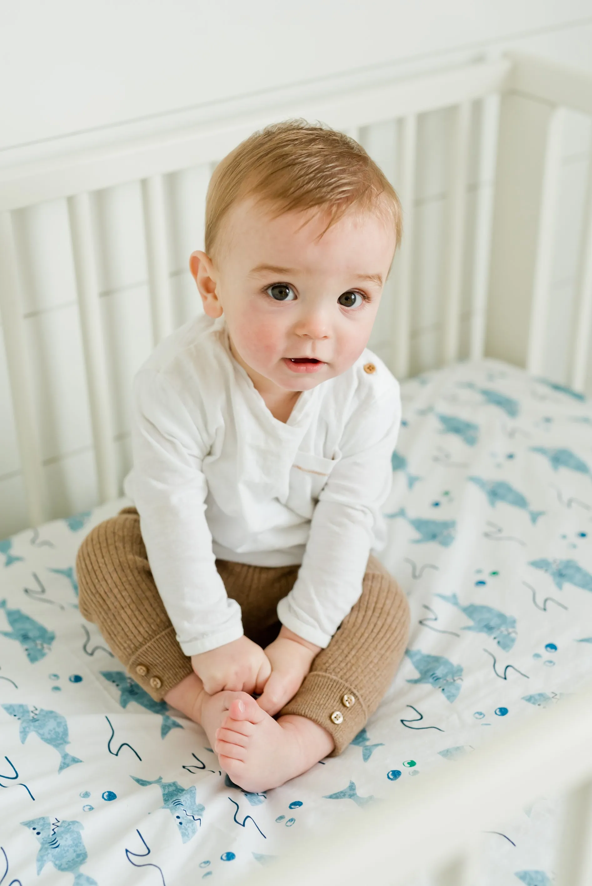 100% Cotton Fitted Crib Sheet - Sharks