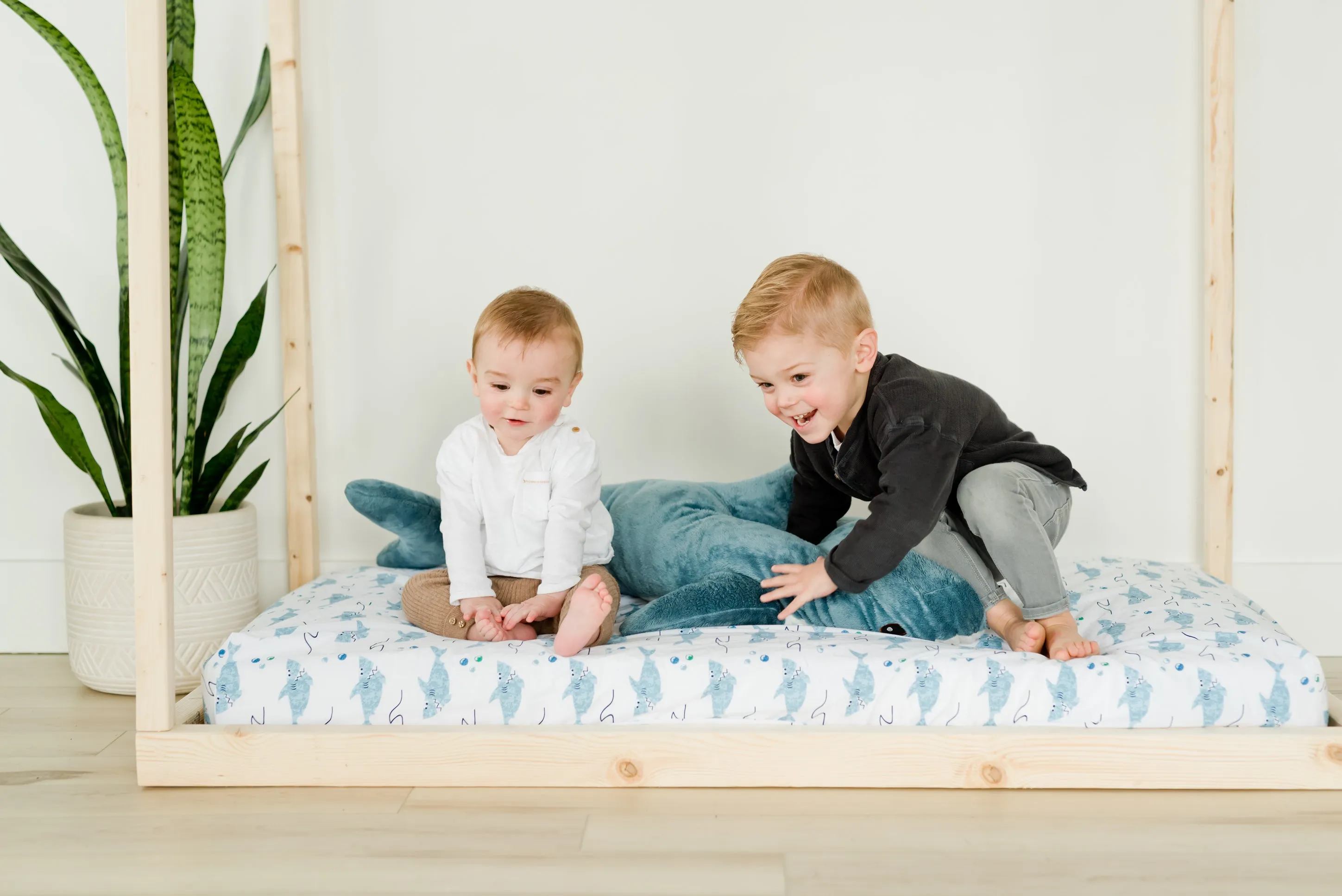 100% Cotton Fitted Crib Sheet - Sharks