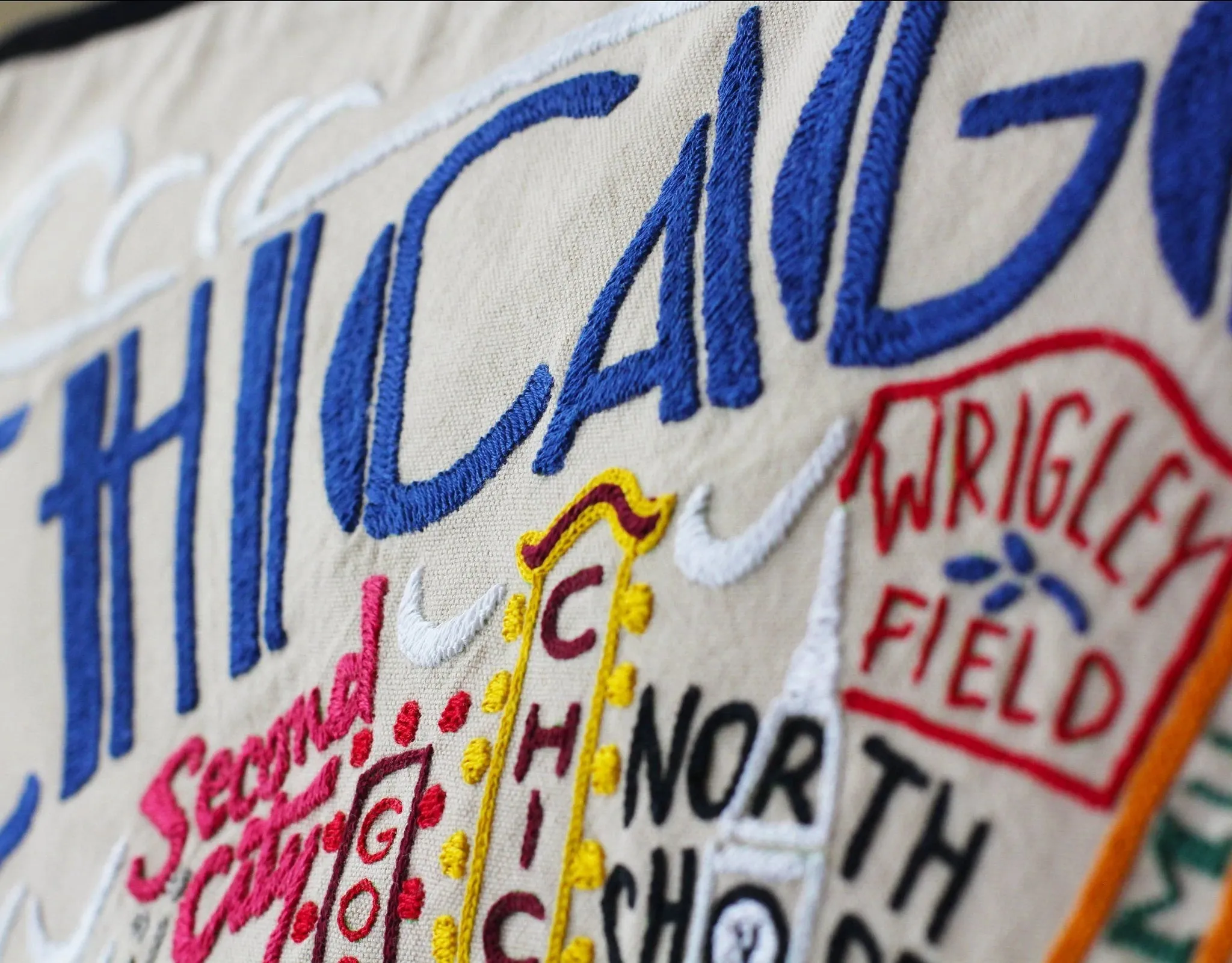 CHICAGO PILLOW BY CATSTUDIO