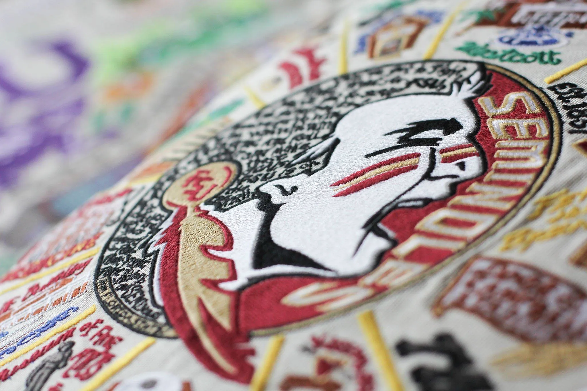 FLORIDA STATE UNIVERSITY PILLOW BY CATSTUDIO